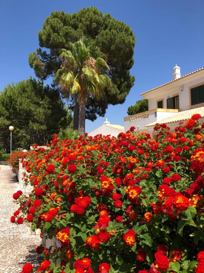 Algarve Albufeira, Quiet Apart With Pool At 10 Mn Walk From Praia Da Falesia 奥霍斯德古阿 外观 照片